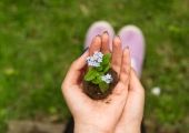 Cultivating faith