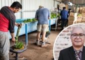 Seasonal workers given a chance to thrive 