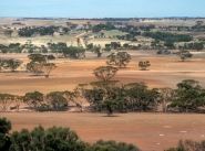 Grassroots strategy to address challenges in Western Australia