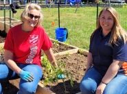 Donation garden a fresh way to keep Army pantries full