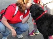 Therapy dogs join hurricane response in United States