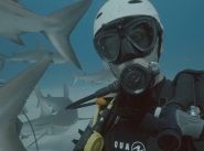 Movie Review: Envoy: Shark Cull