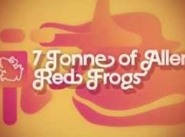 Red Frogs Schoolies Promo