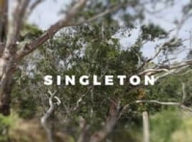 Singleton MC18