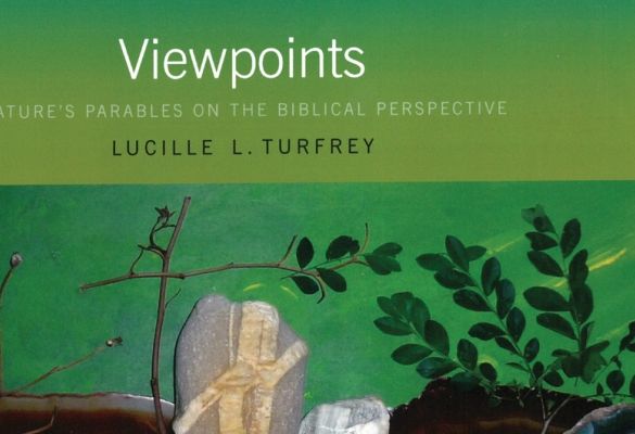 Viewpoints: Nature's Parables on the Biblical Perspective