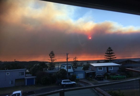 SAES teams respond to NSW bushfires
