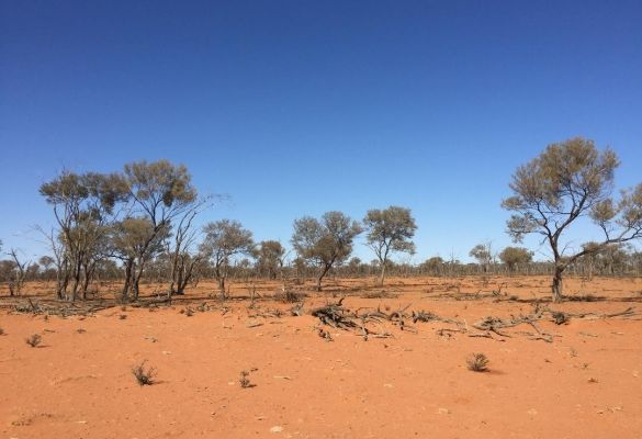 Joining forces to help a parched state