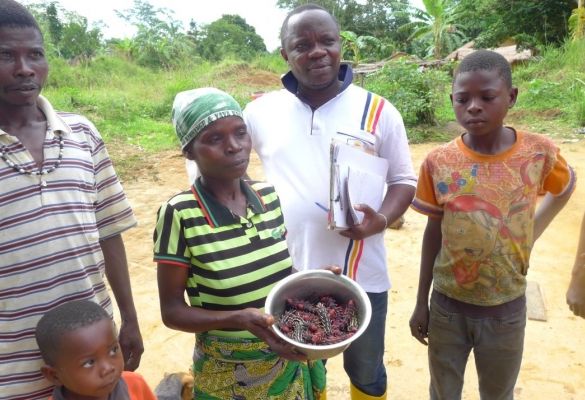 Salvation Army reintroduces caterpillar farming to reduce malnutrition in the Democratic Republic of Congo