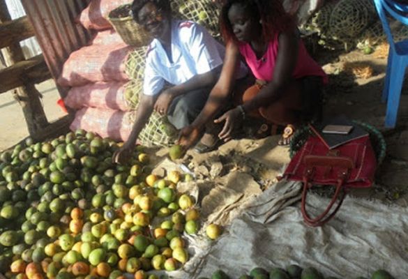 Surviving and thriving in Kenya