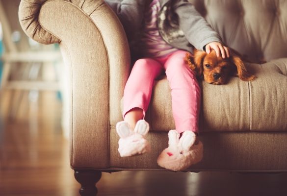 Bellarine Corps receives funding for new counselling service