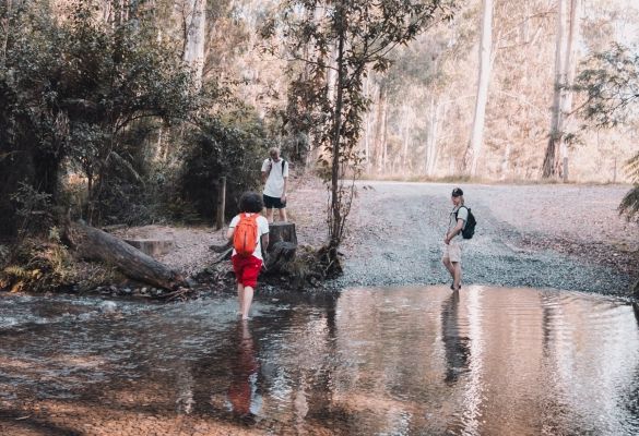 Barbecues, beaches, and bushwalks