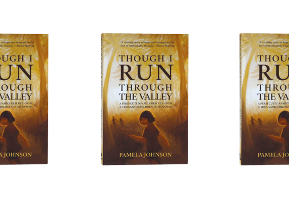 Book Review: Though I Run Through the Valley by Pamela Johnson