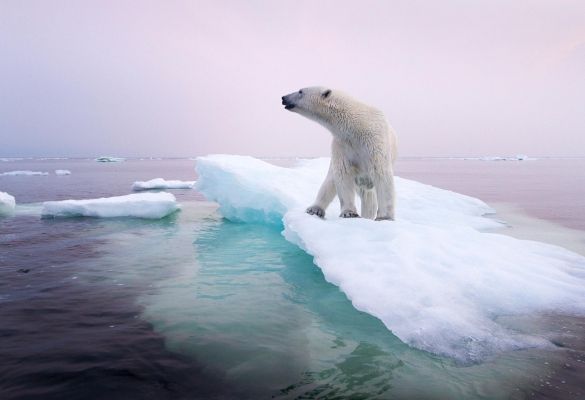 Caring about climate justice