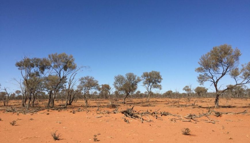 Joining forces to help a parched state