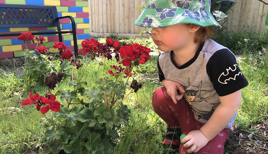 Belonging beginning to bloom at Reservoir Salvos