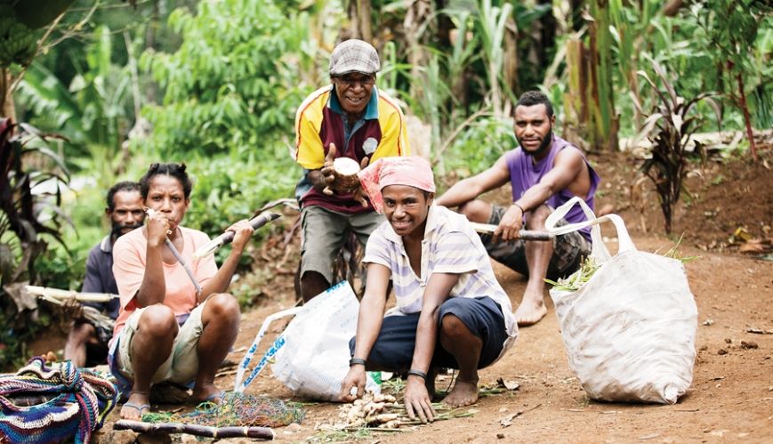 Helping PNG farmers from the ground up