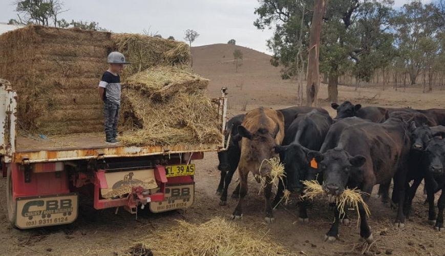 Good rains but drought not over yet