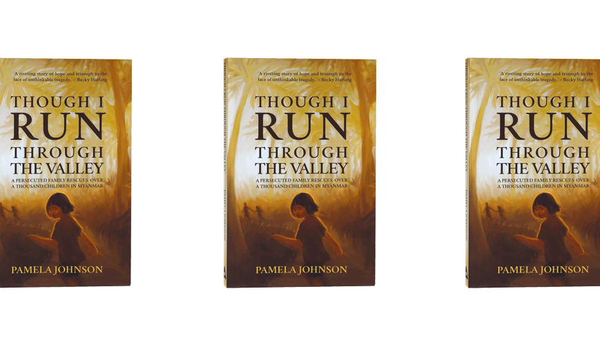 Book Review: Though I Run Through the Valley by Pamela Johnson