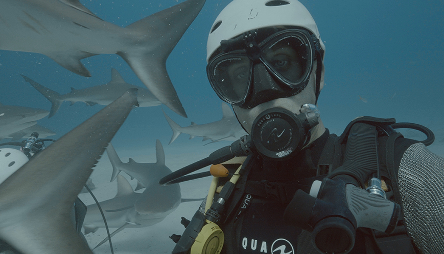 Movie Review: Envoy: Shark Cull