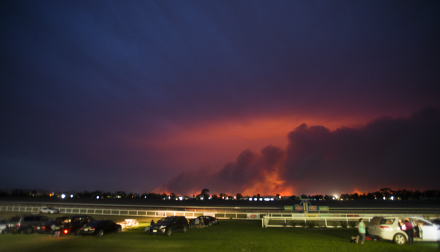 Finding hope in East Gippsland's flames