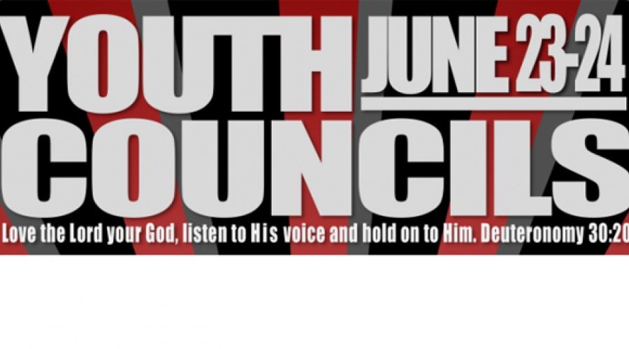 The Voice - Youth Councils