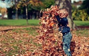 Collaroy camp changes single mums' lives