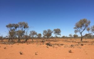 Joining forces to help a parched state