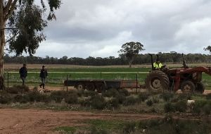 A prayer and a cuppa make an elderly farmer's day