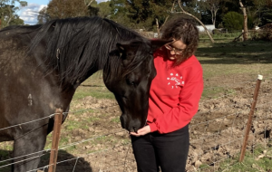 Best hoof forward in Geelong