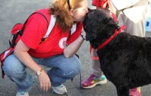 Therapy dogs join hurricane response in United States