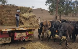 Good rains but drought not over yet