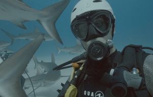 Movie Review: Envoy: Shark Cull