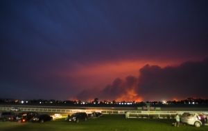 Finding hope in East Gippsland's flames