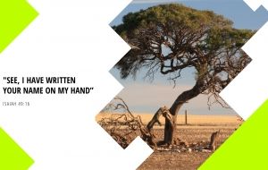 The beauty of brokenness