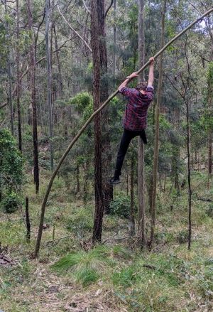 Hike swinging