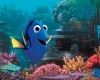 Finding Dory