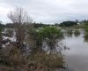 Townsville residents on the road to recovery