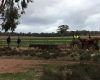 A prayer and a cuppa make an elderly farmer's day