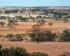 Grassroots strategy to address challenges in Western Australia