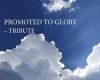 Tribute - Mary Schmidtke
