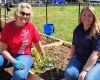 Donation garden a fresh way to keep Army pantries full