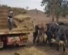 Good rains but drought not over yet