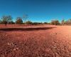 Drought assistance the top priority for Gunnedah Salvos