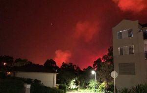 Menai opens corps to pets and owners during bushfire emergency