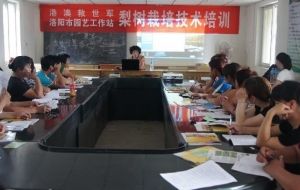 Hong Kong Macau Command - Impacting local communities