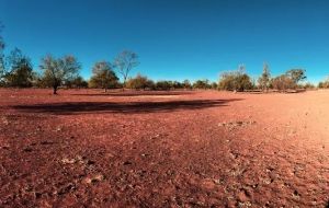 Drought assistance the top priority for Gunnedah Salvos