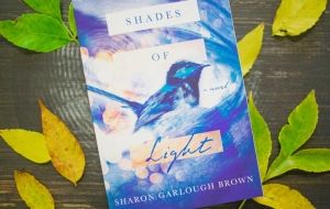 Book Review: Shades of Light by Sharon Garlough Brown