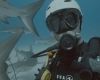 Movie Review: Envoy: Shark Cull