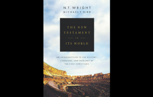 DVD Review: The new testament in its world by NT Wright and Michael Bird